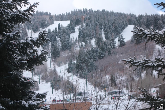 2510 Deer Valley Dr E Unit C13, Park City, UT 84060 - photo 44