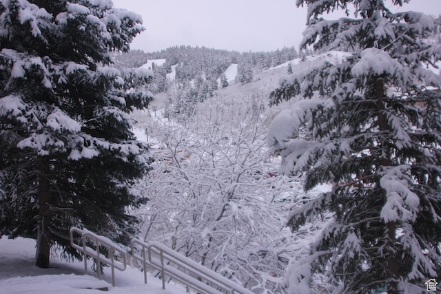 2510 Deer Valley Dr E Unit C13, Park City, UT 84060 - photo 42