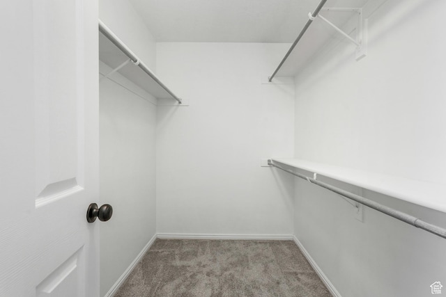 382 S 925 E, Layton, UT 84041 - photo 18