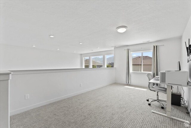 1993 S 2050 W, Woods Cross, UT 84087 - photo 24