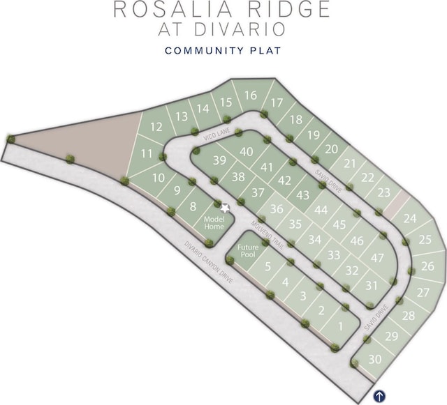 33 Rosalia Rdg, St George, UT 84770 - photo 11