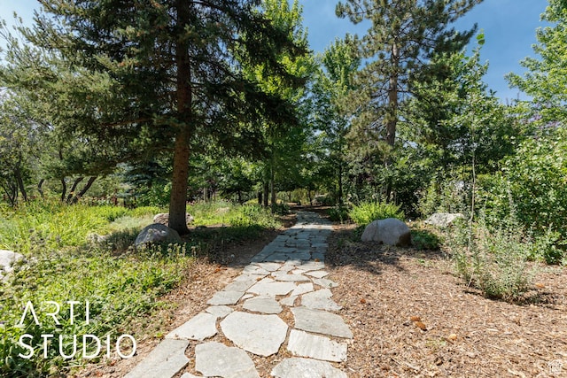 4797 E Patio Springs Cir N, Eden, UT 84310 - photo 53