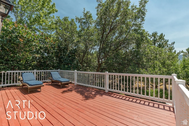 4797 E Patio Springs Cir N, Eden, UT 84310 - photo 66