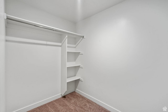 2588 E 1930 N, Layton, UT 84040 - photo 21