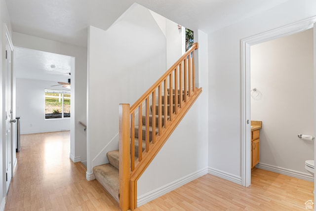 6694 S Balfour Ln W, Murray, UT 84123 - photo 4