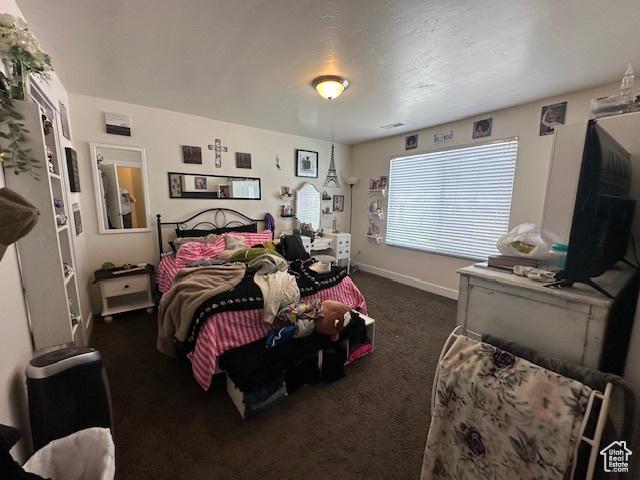 15144 S Bright Stars Dr, Bluffdale, UT 84065 - photo 16