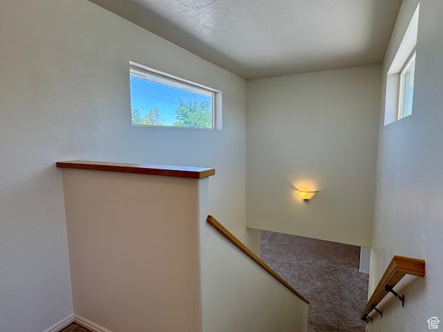 461 E Topaz Blvd Unit 6, Delta, UT 84624 - photo 29