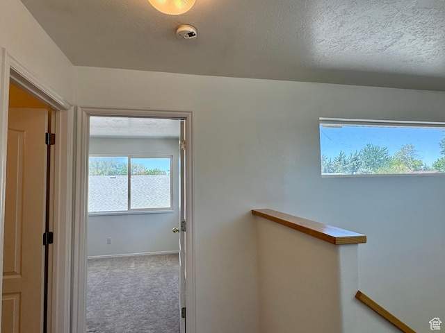 461 E Topaz Blvd Unit 6, Delta, UT 84624 - photo 30