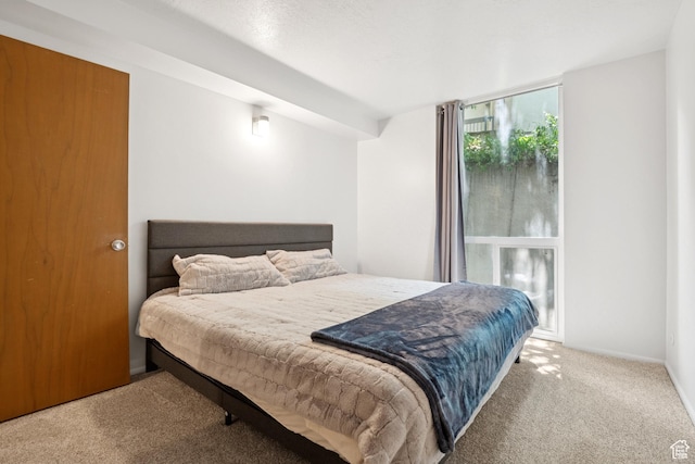 438 N Center St Unit 304, Salt Lake City, UT 84103 - photo 6