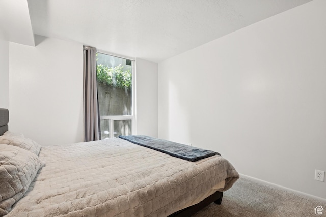 438 N Center St Unit 304, Salt Lake City, UT 84103 - photo 5