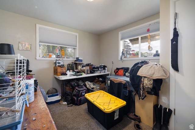 213 E 100 S, Duchesne, UT 84021 - photo 17