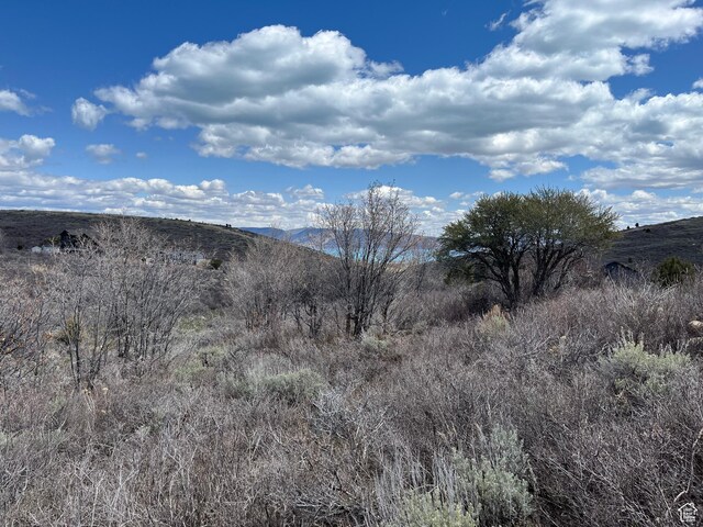 1243 W Cedar Dr Unit 25, Garden City, UT 84028 - photo 11