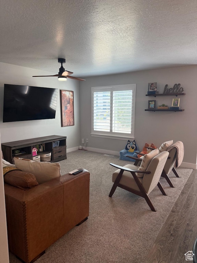 4923 W Pillar Dr, Riverton, UT 84096 - photo 21
