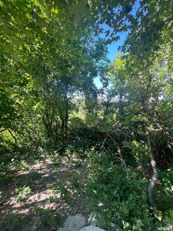 13606 E 22460 N, Fairview, UT 84629 - photo 11