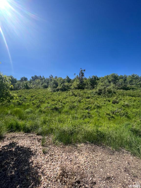 13606 E 22460 N, Fairview, UT 84629 - photo 16