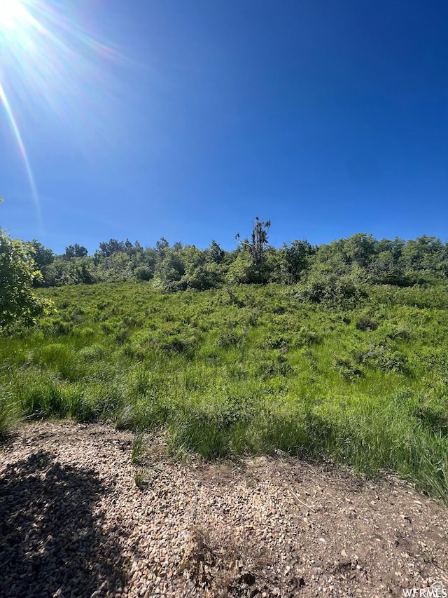 13606 E 22460 N, Fairview, UT 84629 - photo 17