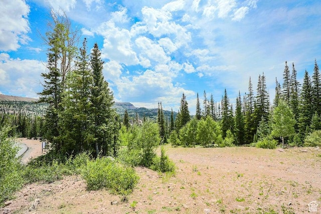 319 N Highland Dr Unit 57, Brian Head, UT 84719 - photo 9