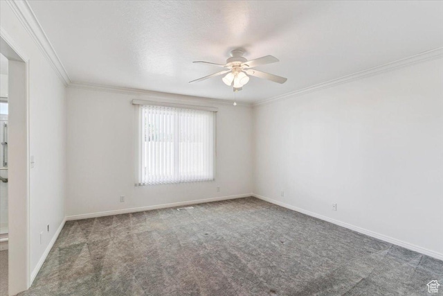 925 N 375 W, Logan, UT 84321 - photo 20