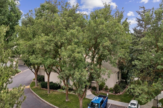 5632 S Park Pl E, Salt Lake City, UT 84121 - photo 41