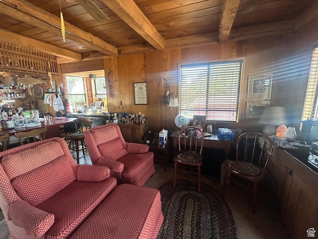 46247 W Bandanna Dr, Fruitland, UT 84027 - photo 5