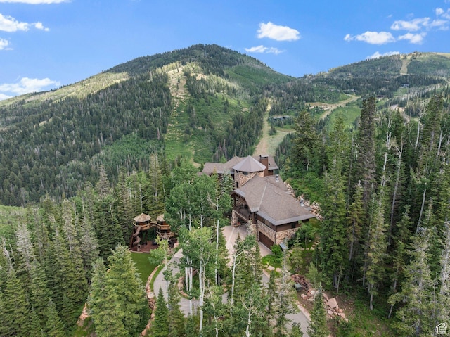 35 White Pine Canyon Rd, Park City, UT 84060 - photo 2