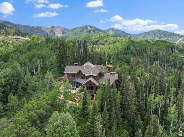 35 White Pine Canyon Rd, Park City, UT 84060 - photo 7