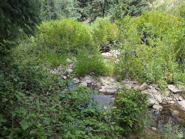 11319 E Tanglewood Dr S Unit 654, Heber City, UT 84032 - photo 8