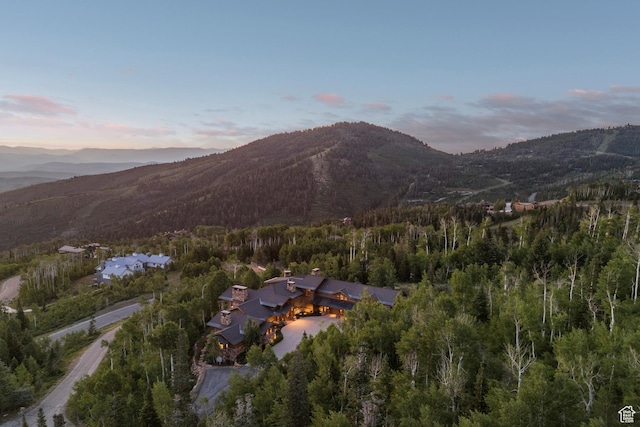 87 White Pine Rd, Park City, UT 84060 - photo 11