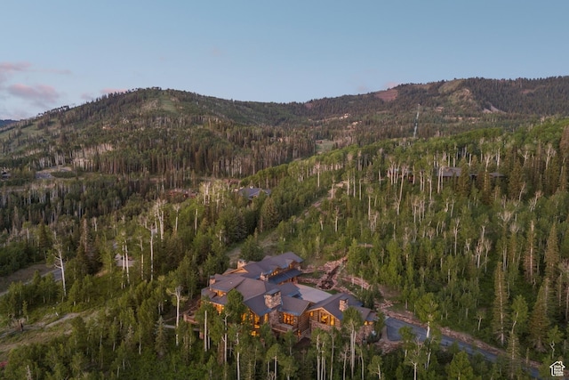 87 White Pine Rd, Park City, UT 84060 - photo 9