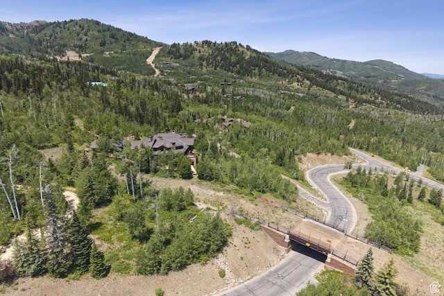 87 White Pine Rd, Park City, UT 84060 - photo 16