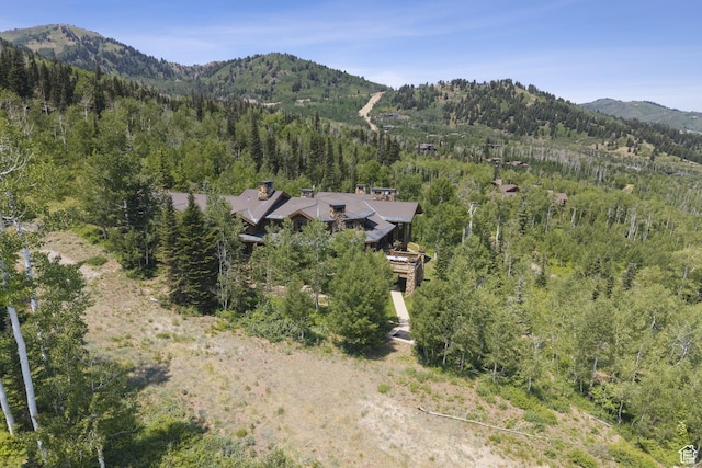 87 White Pine Rd, Park City, UT 84060 - photo 15