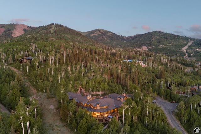 87 White Pine Rd, Park City, UT 84060 - photo 10