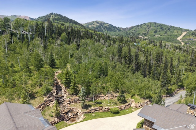 87 White Pine Rd, Park City, UT 84060 - photo 22