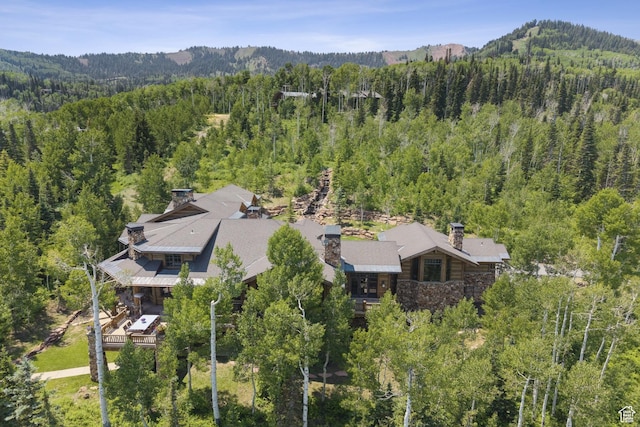 87 White Pine Rd, Park City, UT 84060 - photo 20