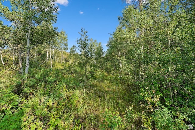 0, Woodland, UT 84036 - photo 17