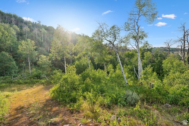 0, Woodland, UT 84036 - photo 63