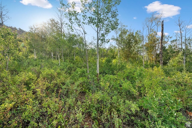 0, Woodland, UT 84036 - photo 27