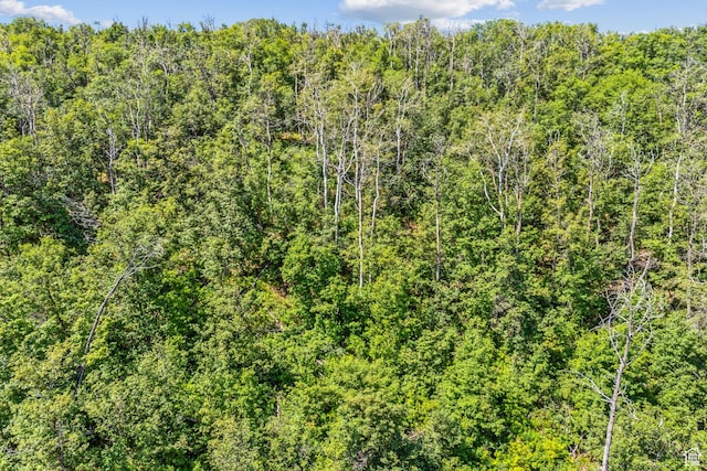 0, Woodland, UT 84036 - photo 38