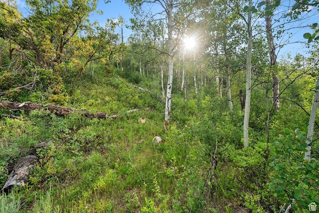 0, Woodland, UT 84036 - photo 18