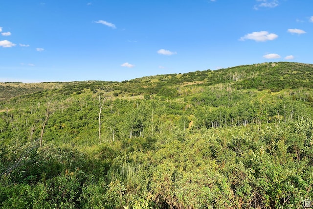 0, Woodland, UT 84036 - photo 30