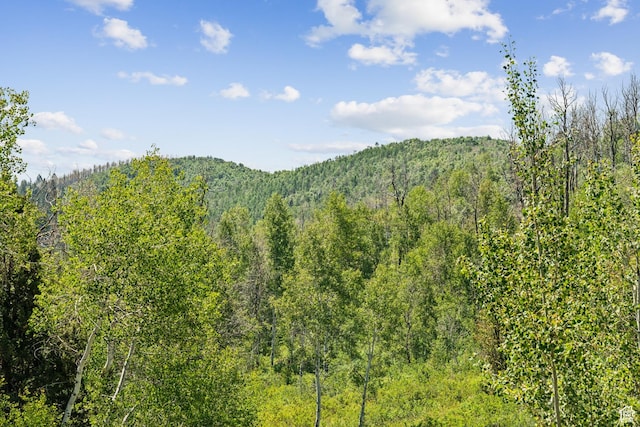0, Woodland, UT 84036 - photo 15