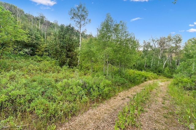 0, Woodland, UT 84036 - photo 64