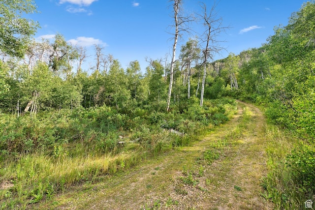 0, Woodland, UT 84036 - photo 1