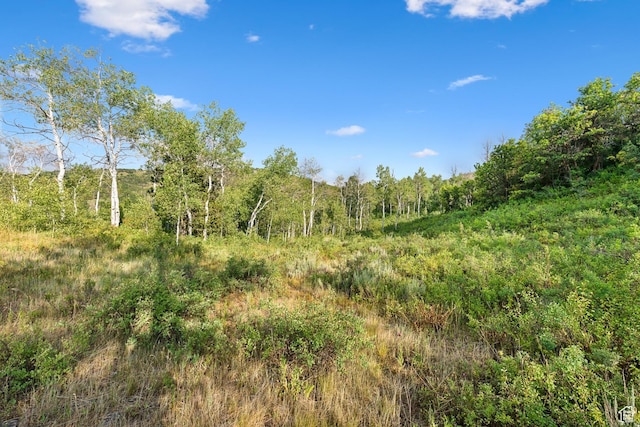 0, Woodland, UT 84036 - photo 21