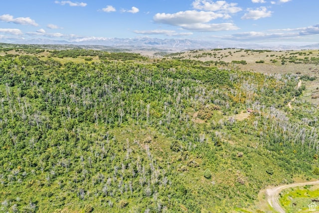 0, Woodland, UT 84036 - photo 54