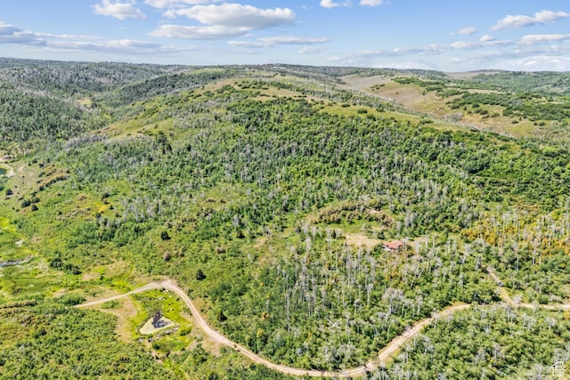 0, Woodland, UT 84036 - photo 44