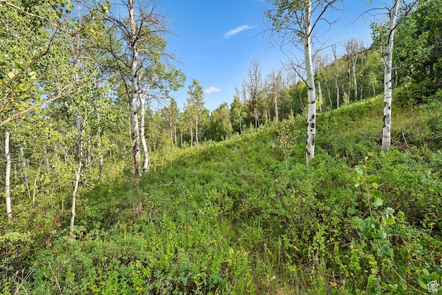 0, Woodland, UT 84036 - photo 25