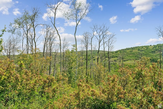 0, Woodland, UT 84036 - photo 14