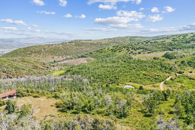 0, Woodland, UT 84036 - photo 41