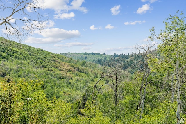 0, Woodland, UT 84036 - photo 12